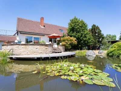 Rückansicht mit Teich